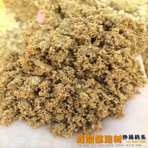 中粗沙即中沙
